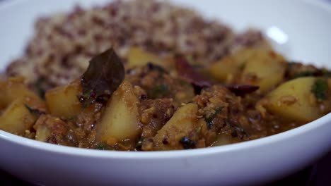 Schöne-Aufnahme-Der-Fertigen-Tellerversion-Von-Papaya-Curry-Und-Quinoa