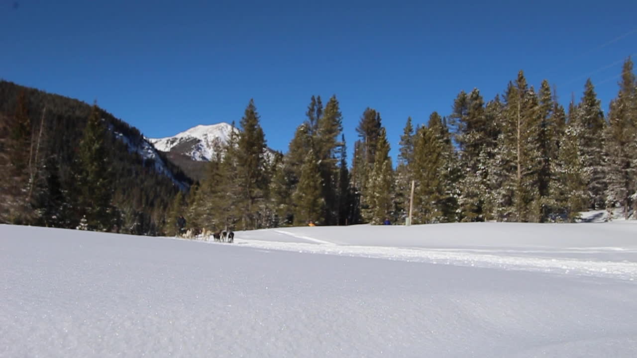 Persone che fanno sleddog in montagna