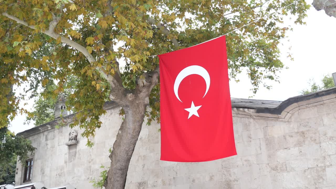 Turkish flag hanging from tree