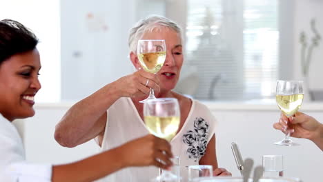 friends enjoying lunch together and raising their glasses