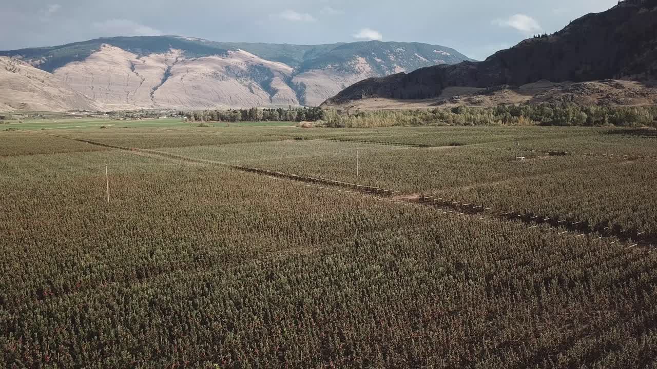 volando sobre un huerto de manzanas en el valle similkameen con montañas al fondo
