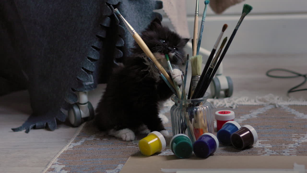 Un gattino che gioca con dei pennelli