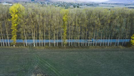 Einzelner-Pritschenwagen,-Der-Auf-Einer-Langen-Geraden-Landstraße-Fährt,-Die-Von-Schlanken-Bäumen-Gesäumt-Ist