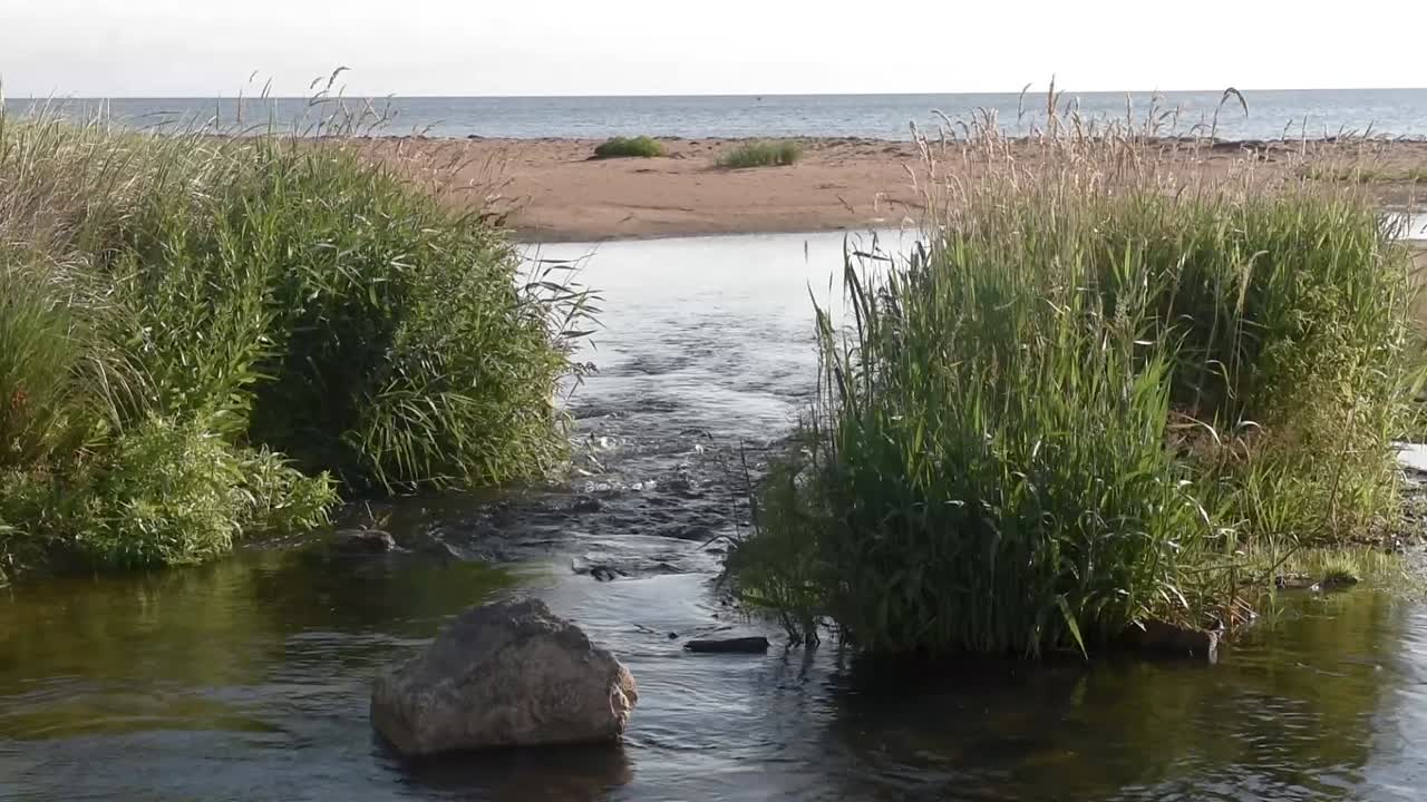playa de arena roja de la isla del príncipe eduardo con la apertura del río