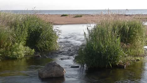 Prinz-Edward-Insel-Roter-Sandstrand-Mit-Flussöffnung