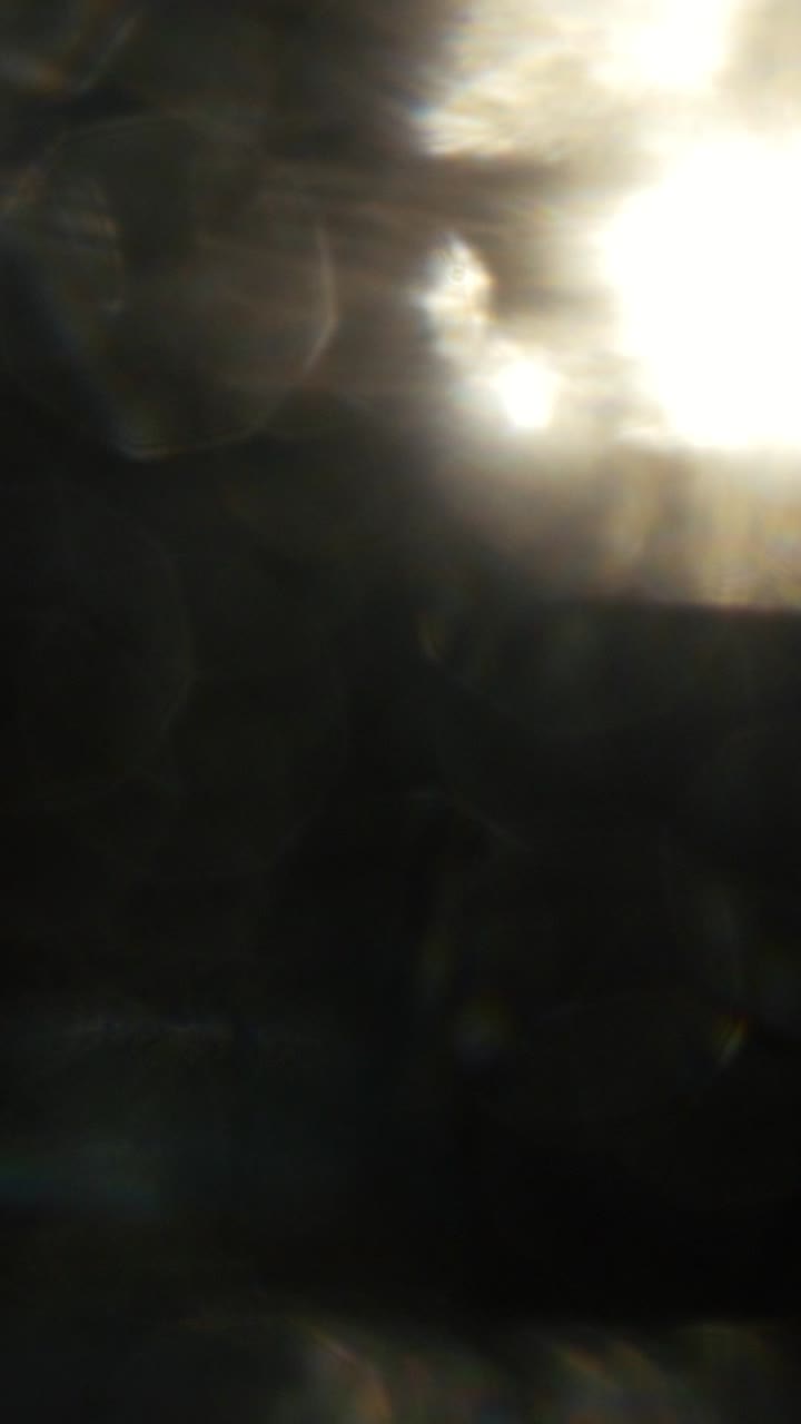 Vazamentos de luz e reflexos de lente dinâmicos em fundo preto