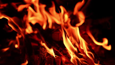 small fire flames on the logs of wood. comforting view of bonfire burning at night. close up.
