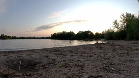 Timelapse-of-lake-shore-during-sunset-behind-tree-line,-Rheinau-Germany