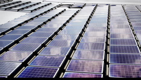 rows of solar panels on a roof