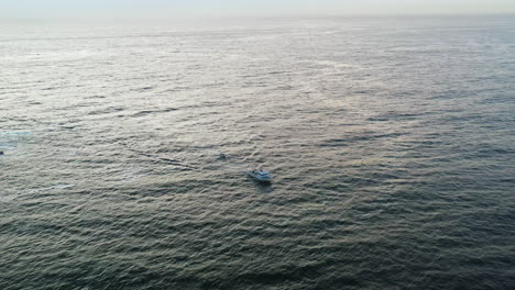 a new south wales fisheries boat sails into bondi to check the shark nets and deploy shark drum lines in the early morning