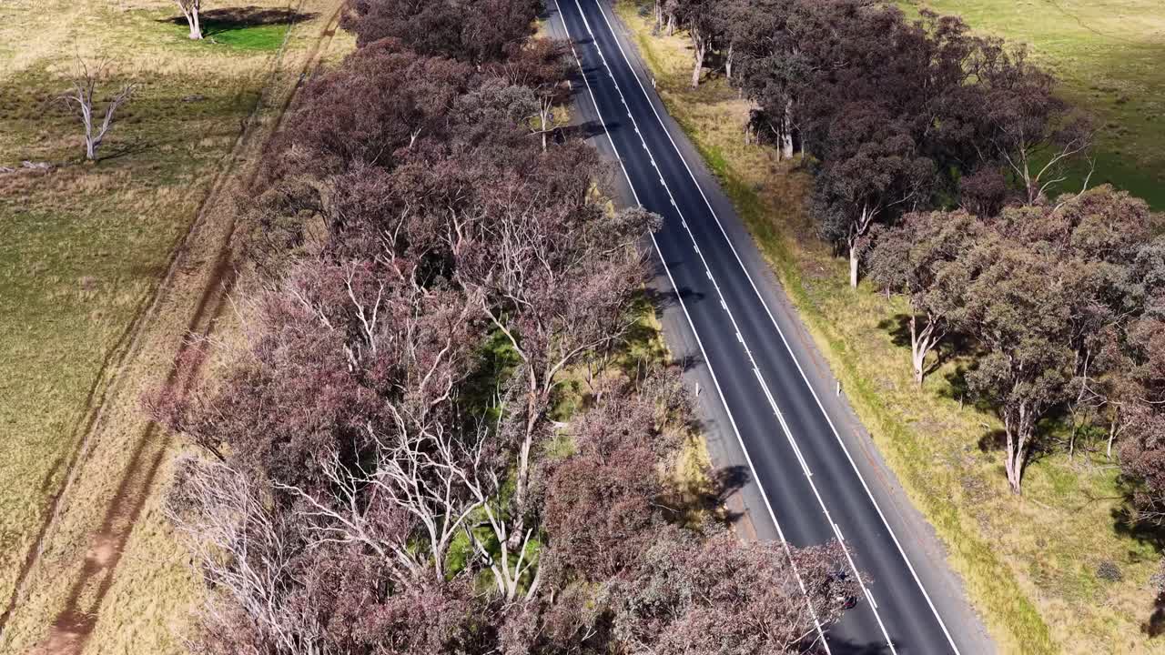A single car travels along a tree-lined rural road in New South Wales, Australia, captured by a smoothly moving aerial drone in bright daylight