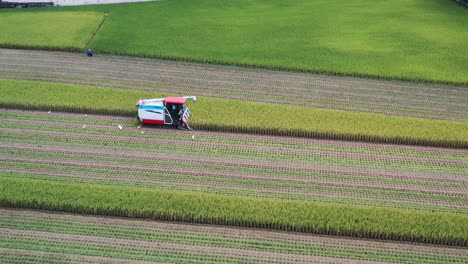 Luftdrohnen-Verfolgen-Aufnahmen-Von-Kultivierten-Reisfeldern,-Landwirte-Ernten-Die-Feldfrüchte-Mit-Multifunktionalen-Reiserntemaschinen,-Reiserntemaschinen-Und-Traktoren-In-Doliu-Yunlin,-Taiwan