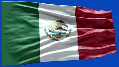 4k highly detailed flag of mexicox - mexico flag high detail - national flag mexico wave pattern loopable elements