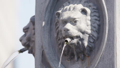 close-up of a stone lion fountain