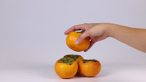hands arranging and holding persimmons on table