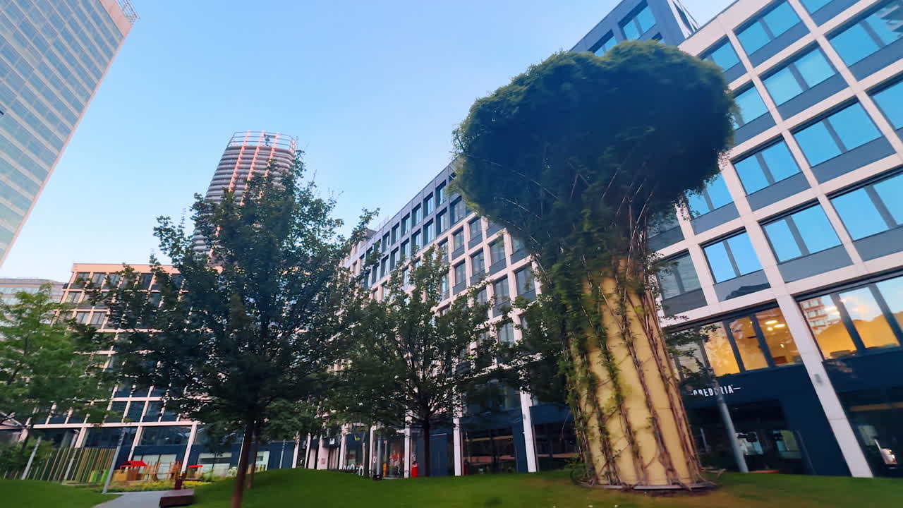 Trees and arborium design in the city. Modern office multi-storied buildings at backdrop. Low angle view