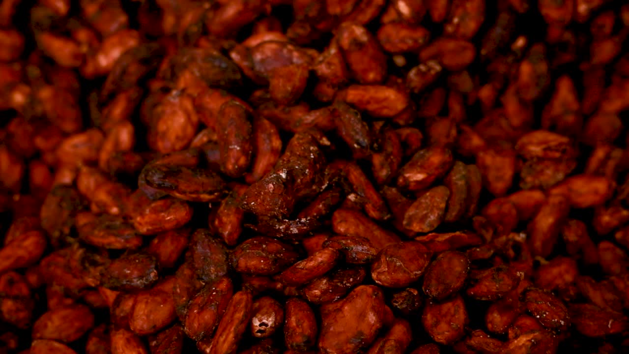 Roasted Cocoa Beans