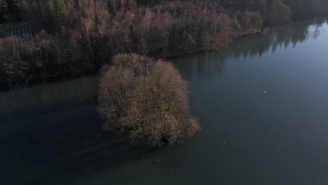 A-small-lake-island-with-brown,-leafless-deciduous-trees-during-a-winter-sunset-in-Germany