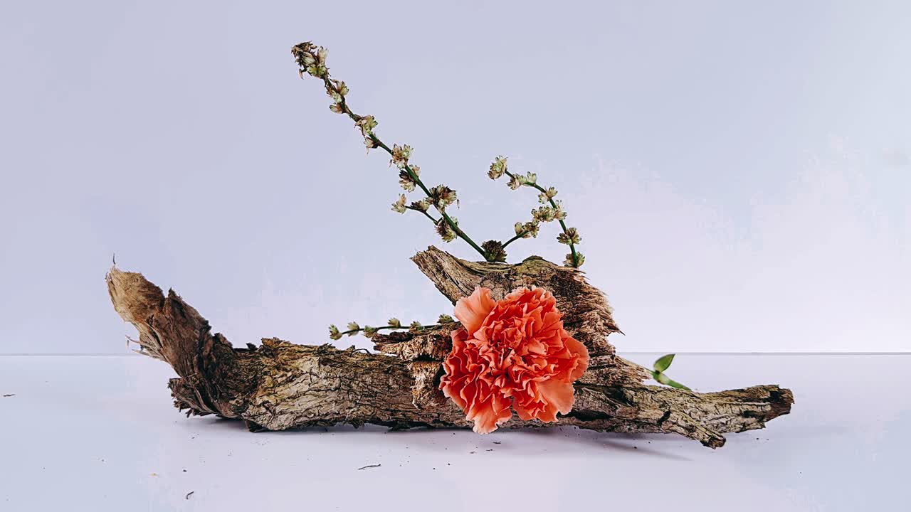 arreglo de claveles de naranja en madera a la deriva
