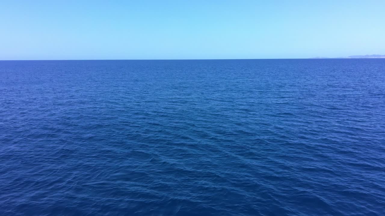 vista de delfines nadando en alta mar - video de 4k