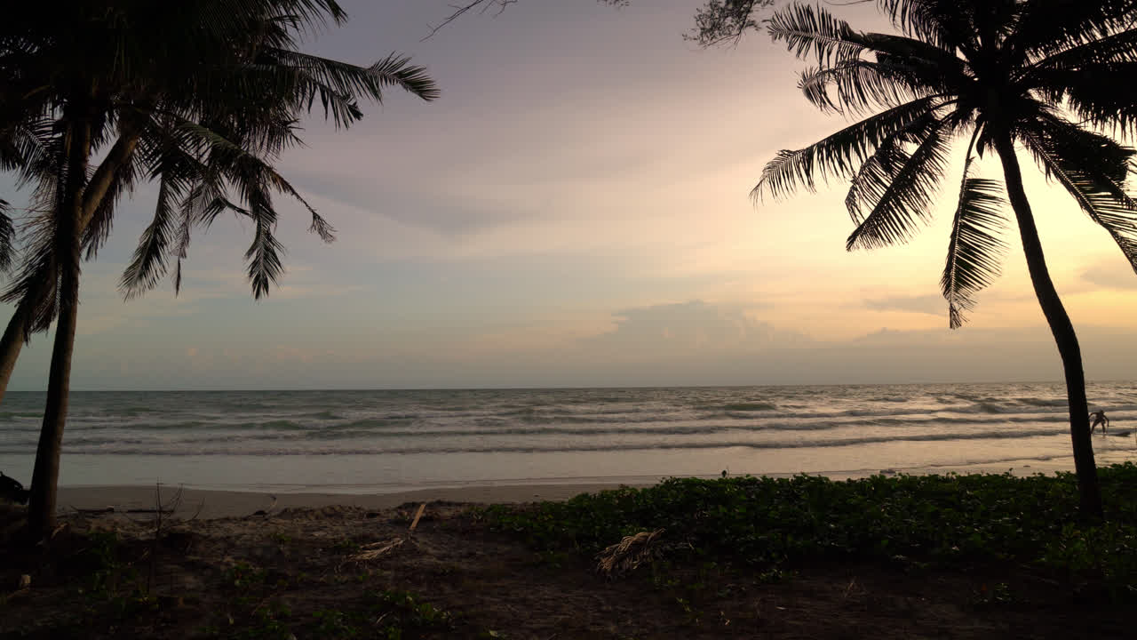 hermosa puesta de sol con playa de mar y cocoteros