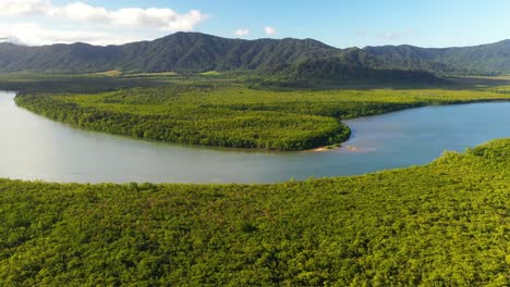 beautiful daintree river in queensland, australia rainforest, high aerial view