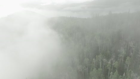 aerial of low fog hanging over mountain and forest trees-10