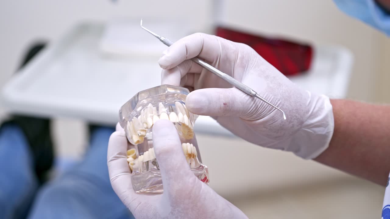 Dentist demonstrating tooth model. Male dentist holding dental model, explaining teeth care to patient