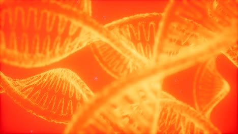 estructura de la animación de doble hélice de adn