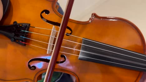 instrumento de cuerda de viola; educación musical