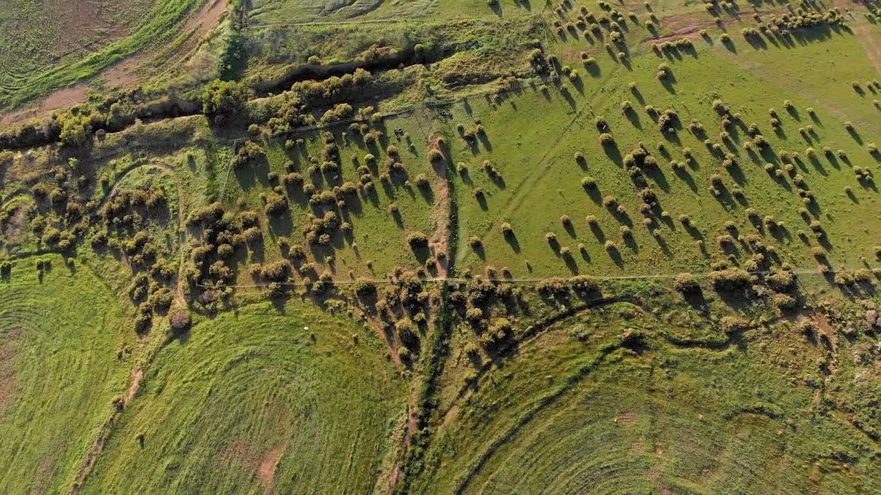 fotografía inversa de un avión no tripulado de un campo verde y campos agrícolas en un día soleado