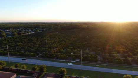 Volando-Sobre-Un-Campo-De-Naranjos-Para-Revelar-Casas-Y-Bosques-Junto-Al-Lago-Durante-Una-Hermosa-Puesta-De-Sol