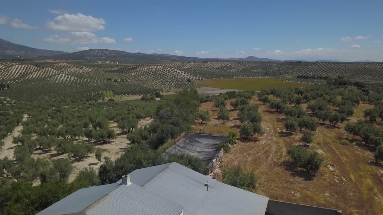 vista aérea de un almacén de aceitunas en el sur de españa