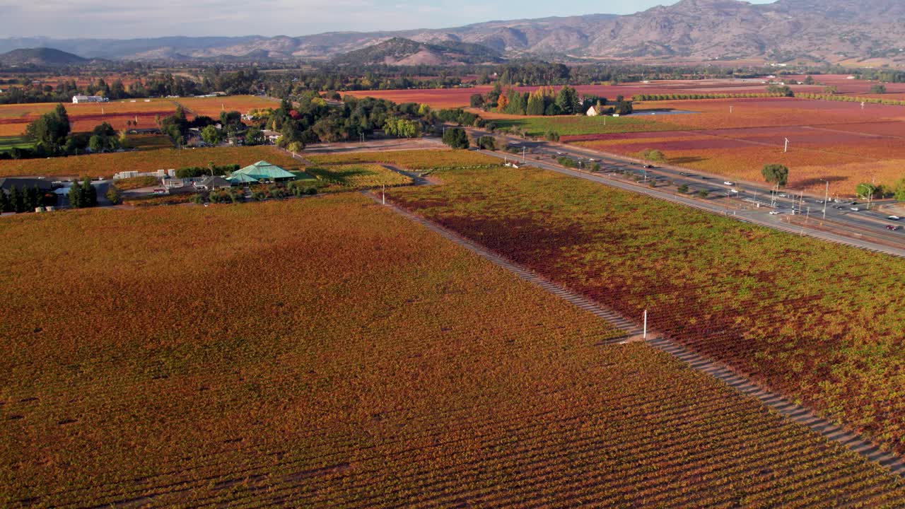 aerial de vibrantes hojas saturadas de viñedo de otoño sobre la hermosa bodega en el valle de napa