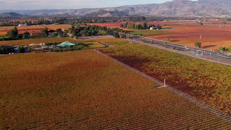 aerial of vibrant saturated autumn vineyard leaves over beautiful winery in the napa valley