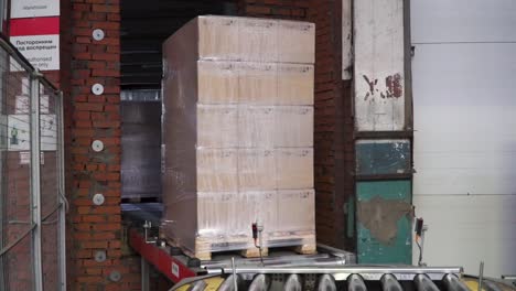 paleta con cajas en cinta transportadora en el almacén