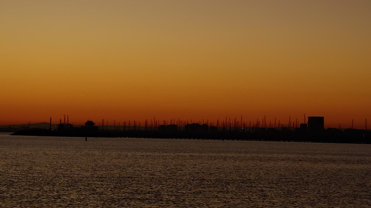 해가 지는 동안 바다 위 를 날아다니는 해파리