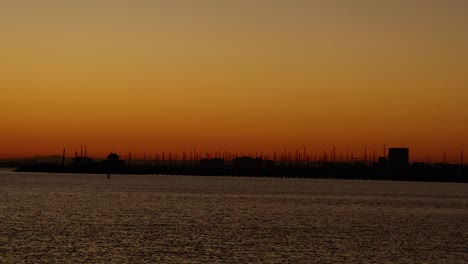 seagull flying over sea during sunset