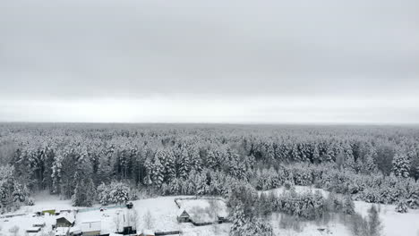 Luftaufnahme-Des-Verschneiten-Bergwaldes-Der-Wintersaison,-Atemberaubende-Naturlandschaft,-Gefrorener-Wald-Und-Dunkler-Gebirgsfluss