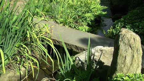 una pasarela de piedra atraviesa un pequeño arroyo en un jardín de té japonés
