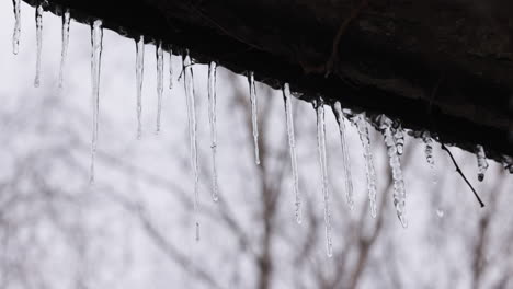 trozos delgados de hielo en una ventana