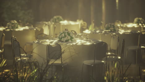 elegant outdoor event setup in a serene forest setting during golden hour
