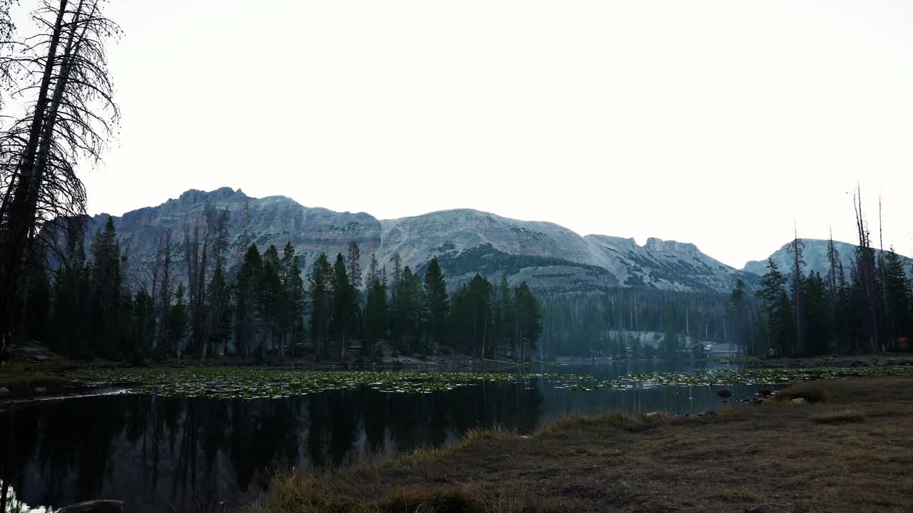Stunning time-lapse of the beautiful Butterfly Lake in the Uinta Wasatch Cache National Forest in Utah with large pine trees, lily pads, and rocky mountains during a cold misty summer morning