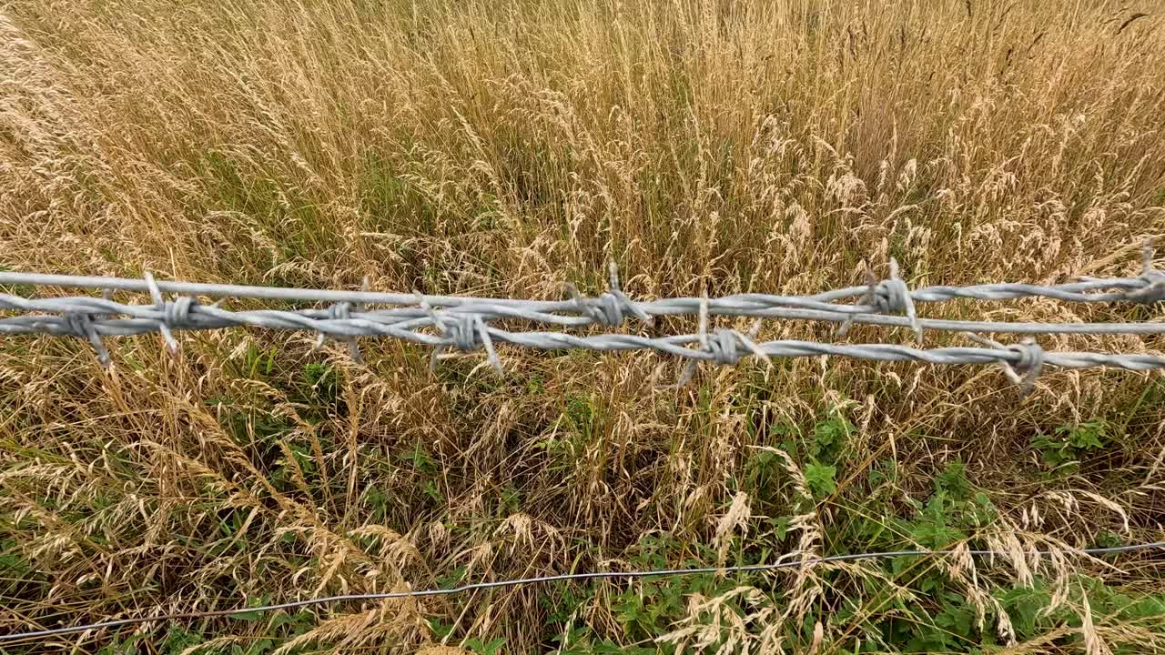 A steady horizontal camera pan reveals a metal barbed wire fence set against tall, dry grass in a rural outdoor landscape under natural daylight