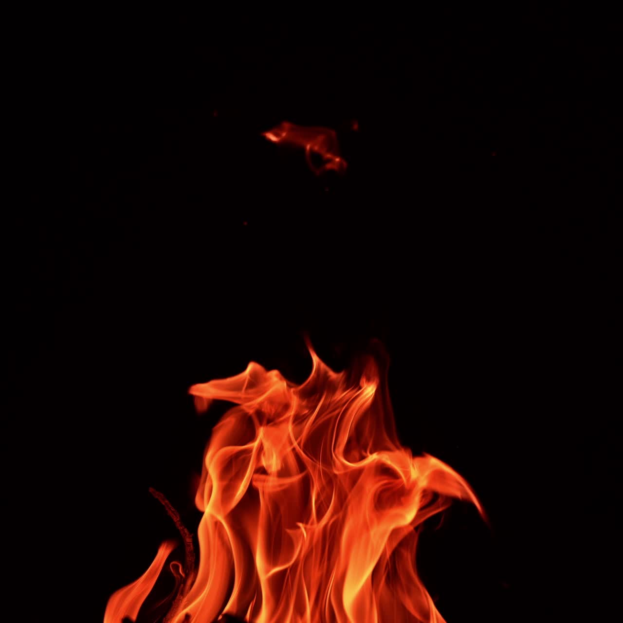 Upper part of campfire burning at night. Long thin fire flames moving quickly. Close up. Black backdrop
