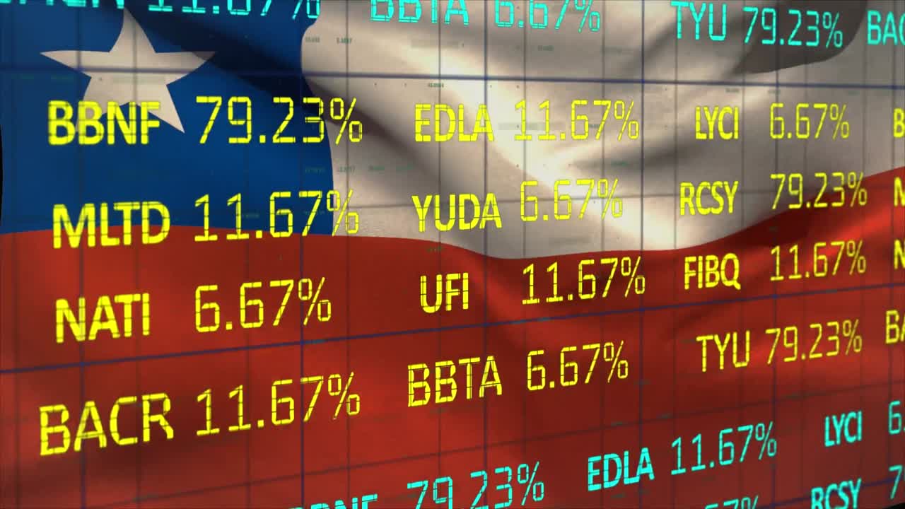 칠레의  ⁇ 발 위에서 데이터 처리의 애니메이션