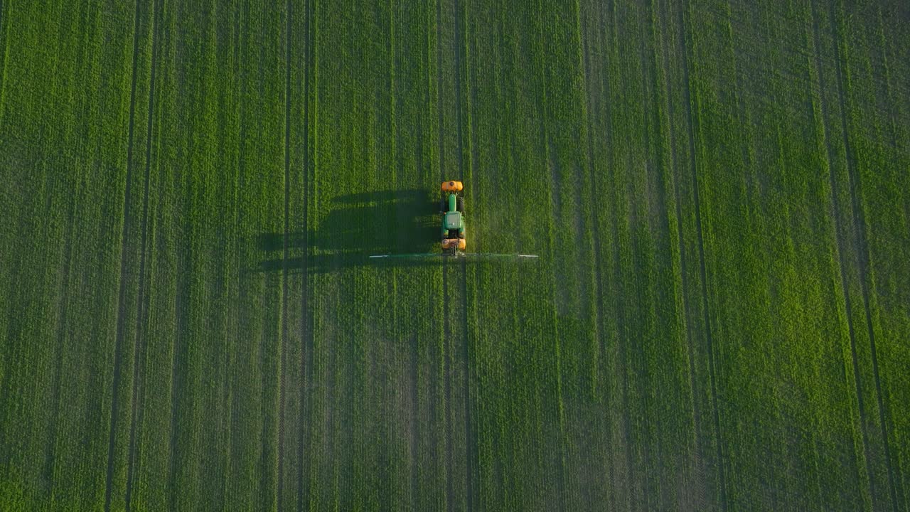 vista aérea de un agricultor rociando campos de cultivos con tractor, fumigación de pesticidas y fertilizantes, noche soleada de verano, luz de la hora dorada, disparo de drone de ojo de pájaro en ascenso hacia adelante
