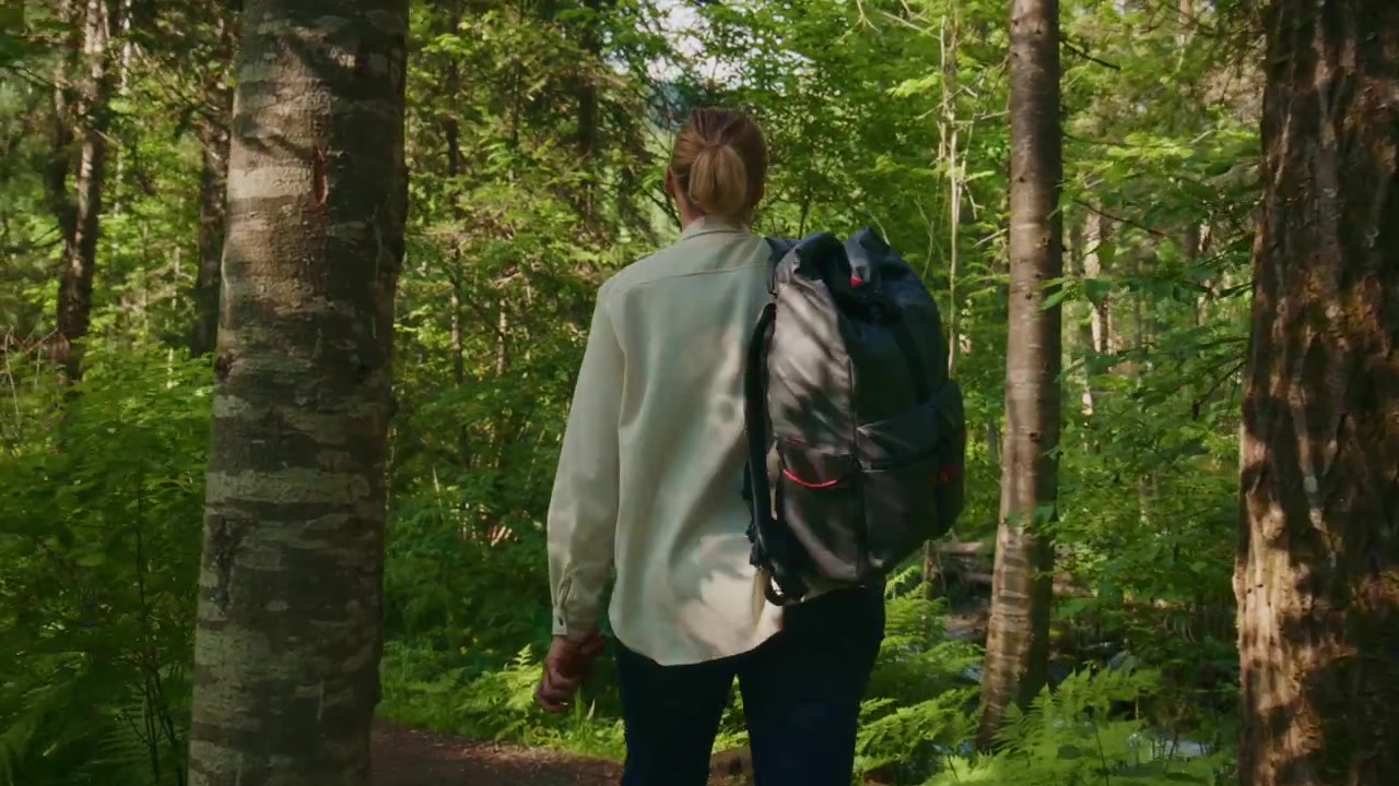 Person walks through dense forest with backpack. Sunlight filters through tall trees. Trail winds past ferns and greenery. Calm, peaceful atmosphere invites exploration