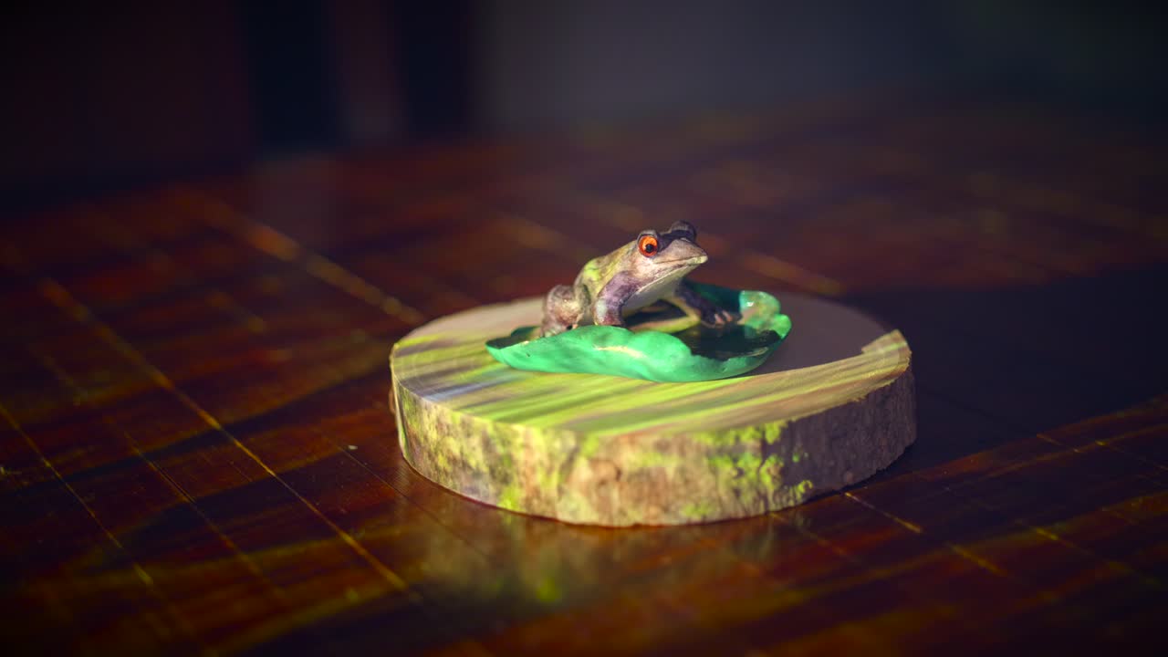 Ceramic Figure Of A Frog On A Waterlily Leaf, Sitting On A Wooden Presentation Base With Projector Light Illumination. close up