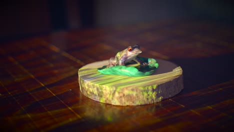 ceramic figure of a frog on a waterlily leaf, sitting on a wooden presentation base with projector light illumination. close up